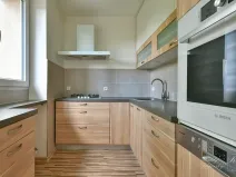 Pronájem bytu 3+1, Ústí nad Labem, Hilarova, 74 m2