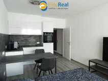 Pronájem bytu 1+kk, Olomouc, Frištenského, 33 m2