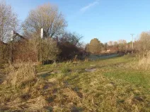 Prodej louky, Kosmonosy, 8401 m2