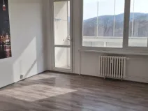 Prodej bytu 2+1, Ústí nad Labem, Jindřicha Plachty, 58 m2