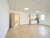 Pronájem bytu 2+kk, Plzeň, Tisová, 70 m2