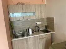 Pronájem bytu 1+kk, Pardubice, Trnovská, 36 m2