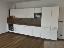 Pronájem bytu 1+kk, Plzeň, Pilařská, 43 m2