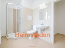 Pronájem bytu 1+kk, Havířov - Šumbark, U Nádraží, 28 m2