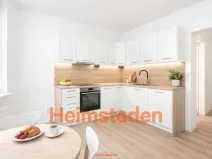 Pronájem bytu 3+kk, Ostrava - Mariánské Hory, Zelená, 56 m2