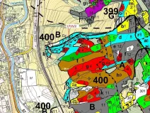 Dražba lesa, Valašská Polanka, 2632 m2