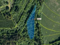 Dražba lesa, Hovězí, 2626 m2