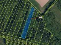 Dražba lesa, Hradčany-Kobeřice, 5963 m2