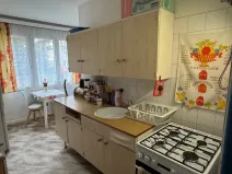 Prodej bytu 1+1, Cheb, Májová, 38 m2