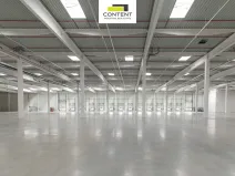 Pronájem výrobních prostor, Ostrava - Vítkovice, 10275 m2