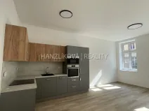 Pronájem bytu 2+kk, České Budějovice - České Budějovice 3, Nová, 42 m2