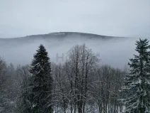 Prodej komerčního pozemku, Malá Úpa - Dolní Malá Úpa, 9164 m2