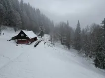 Prodej komerčního pozemku, Malá Úpa - Dolní Malá Úpa, 9164 m2