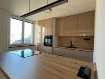 Pronájem bytu 2+kk, Frýdlant nad Ostravicí, Hlavní, 65 m2