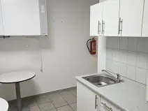 Pronájem kanceláře, Průhonice, Říčanská, 120 m2