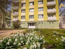 Prodej bytu 3+1, Písek - Budějovické Předměstí, Dr. M. Horákové, 71 m2