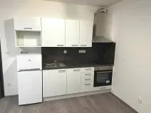 Pronájem bytu 1+kk, Brno, Hlinecká, 30 m2