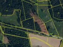 Prodej lesa, Červená Řečice, 214 m2