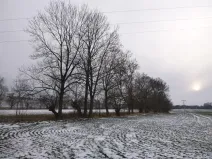 Dražba pole, Nová Sídla, 66956 m2