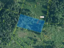 Dražba lesa, Pačejov, 1958 m2