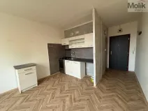 Pronájem bytu 1+1, Bílina - Teplické Předměstí, Sídliště Za Chlumem, 35 m2