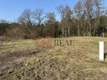 Prodej pozemku pro bydlení, Ludvíkovice, 3129 m2