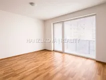 Pronájem bytu 1+kk, České Budějovice - České Budějovice 2, Volejbalistů, 28 m2
