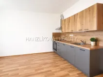 Pronájem bytu 1+kk, České Budějovice - České Budějovice 2, Volejbalistů, 28 m2