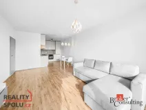 Pronájem bytu 2+kk, Plzeň - Jižní Předměstí, Železná, 60 m2