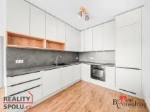 Pronájem bytu 2+kk, Plzeň - Jižní Předměstí, Železná, 60 m2