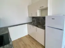 Pronájem bytu 2+kk, Plzeň, Na Terasách, 51 m2