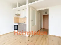 Pronájem bytu 1+kk, Ostrava - Zábřeh, Petruškova, 28 m2