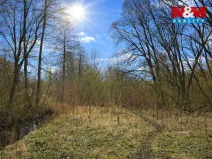 Prodej lesa, Snědovice - Střížovice, 2037 m2