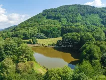 Prodej rybníku, Vojkovice - Jakubov, 105479 m2