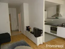 Pronájem bytu 1+kk, Brno, U Leskavy, 39 m2