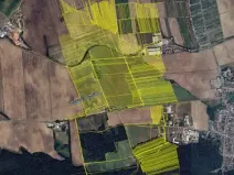 Prodej podílu pole, Ratíškovice, 512 m2