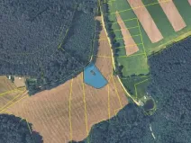 Prodej pole, Holubov, 2498 m2