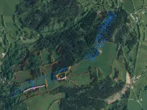 Prodej pole, Zlatá Olešnice, 9937 m2