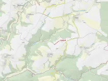 Dražba lesa, Čestín, 356 m2