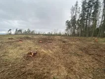 Prodej lesa, Blížejov - Lštění, 4624 m2