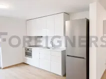 Pronájem bytu 1+kk, Brno, Nováčkova, 50 m2