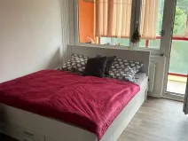 Pronájem bytu 1+kk, Pardubice, Lidická, 30 m2