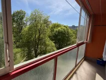 Pronájem bytu 1+kk, Pardubice, Lidická, 30 m2