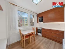 Prodej bytu 1+1, Znojmo, Gagarinova, 31 m2