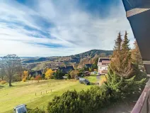 Prodej rodinného domu, Strážné, 350 m2