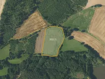 Prodej podílu pole, Borovná, 60983 m2