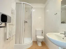 Prodej bytu 1+kk, Mšené-lázně, Mládežnická, 29 m2