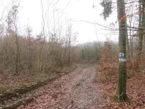 Dražba pole, Fryšták, 2164 m2