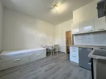 Pronájem bytu 1+kk, Praha - Braník, Na vinohradu, 22 m2