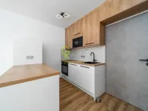 Pronájem bytu 1+kk, Praha - Hodkovičky, Pod lysinami, 30 m2